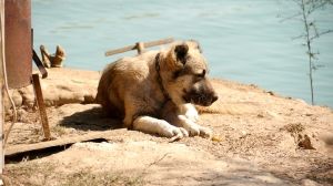 Impressionen Türkei Mai 2013