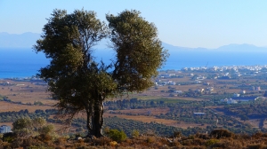 Insel Kos - Impressionen