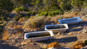 Insel Kos - Impressionen