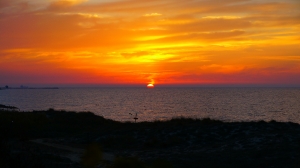 Insel Kos - Impressionen