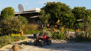 Insel Kos - Impressionen