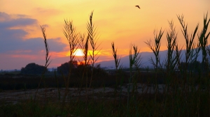 Insel Kos - Impressionen