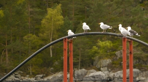 Norwegen - Mai 2012