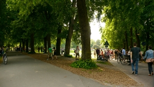 2013