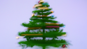 Weihnachtsbaum