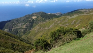 Madeira 2014