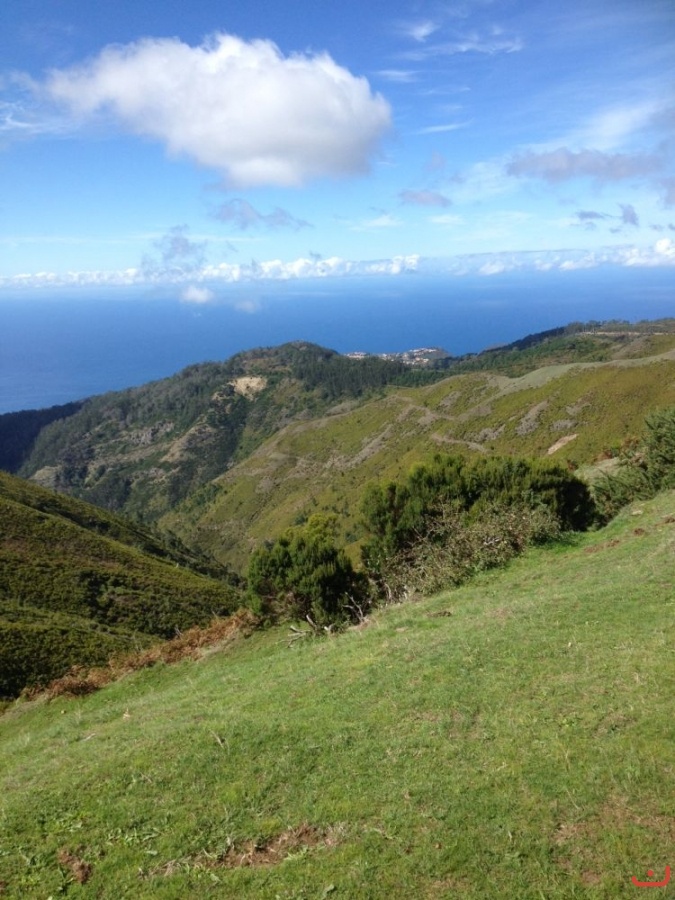 Madeira 2014